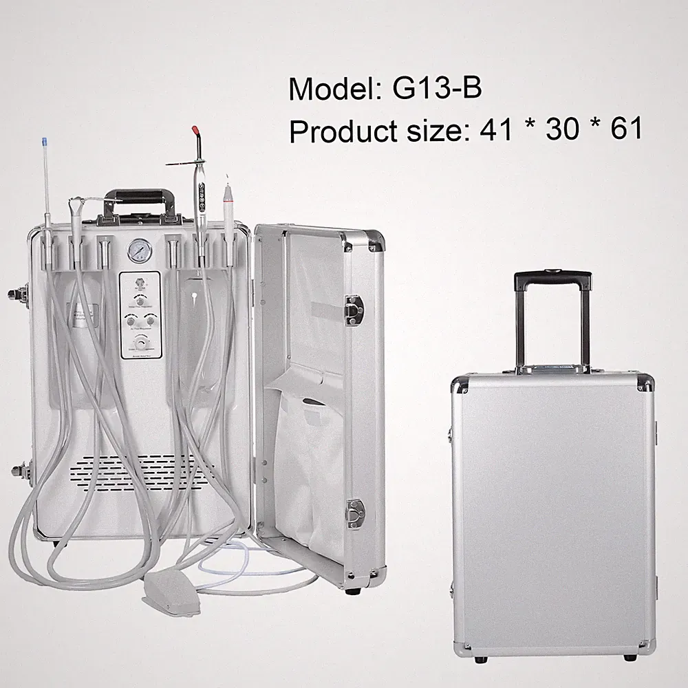Portable Dental Treatment Unit with Air Compressor Scaler Curing Light 4H 110V